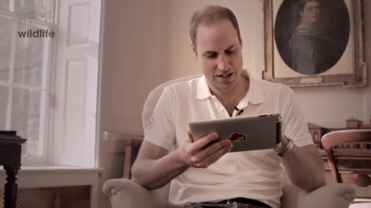 Prince William playing a version of Angry Birds.