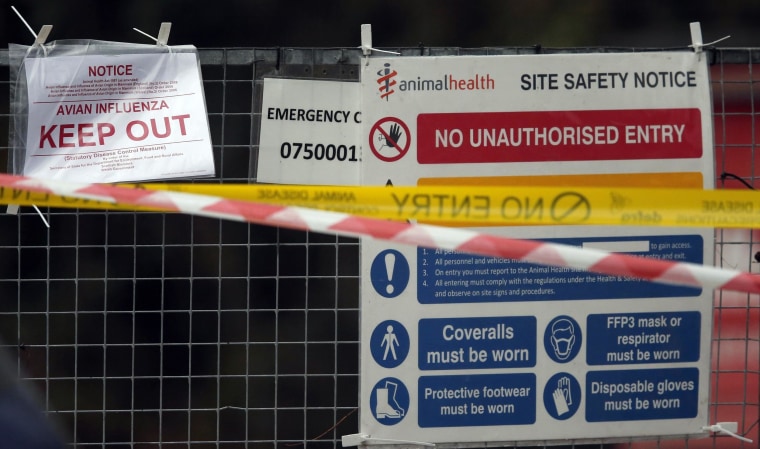 Image: Police tape and warning signs are seen outside a duck farm in Nafferton, northern England