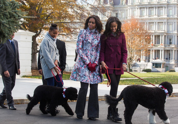 Image: First Lady Michelle Obama Welcomes Official White House Christmas Tree