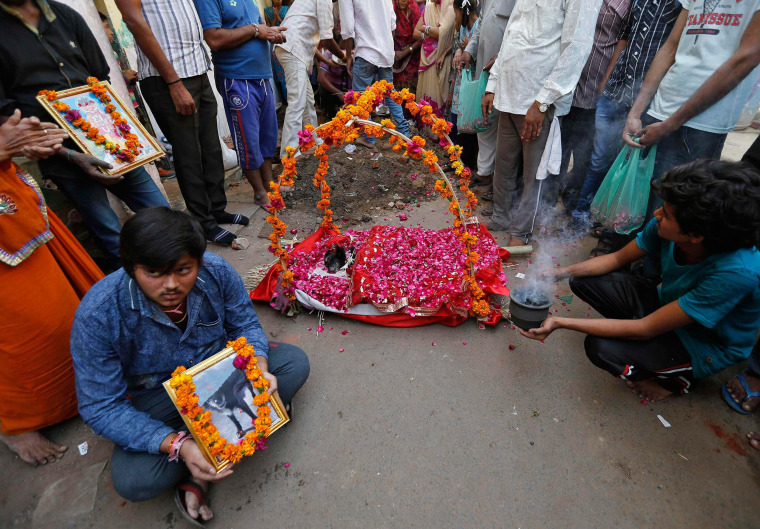 Image: A boy holds a photograph of Sonu, a female stray dog, as others prepare to bury the dog in Ahmedabad