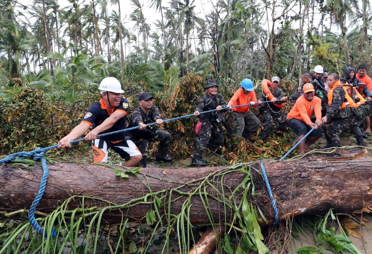 Image: Soldiers join together to pull a fallen tree toppled by Typhoon Hagupit in Eastern Samar, in central Philippines