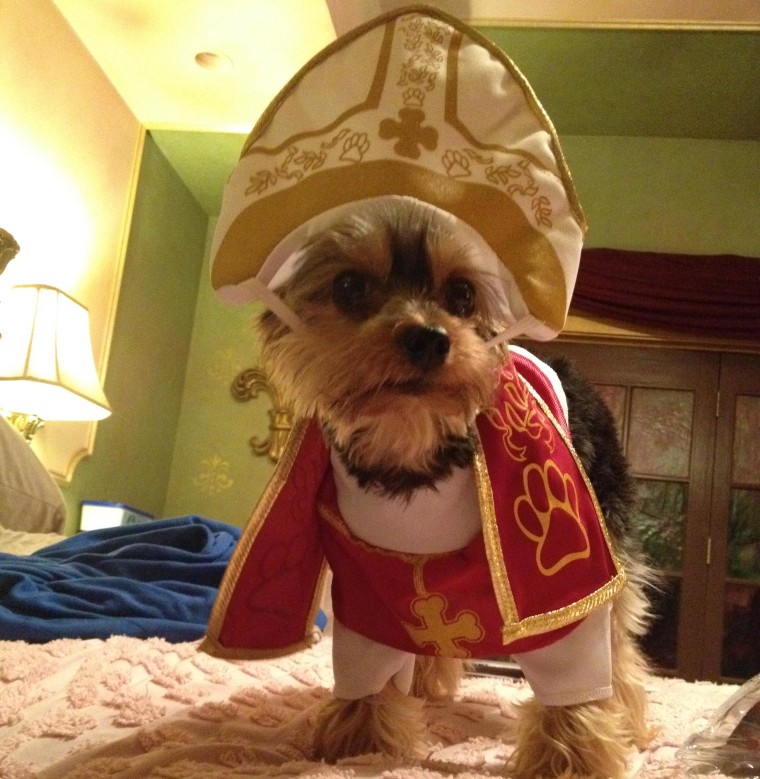 A dog named Oz dressed as the pope for Halloween.