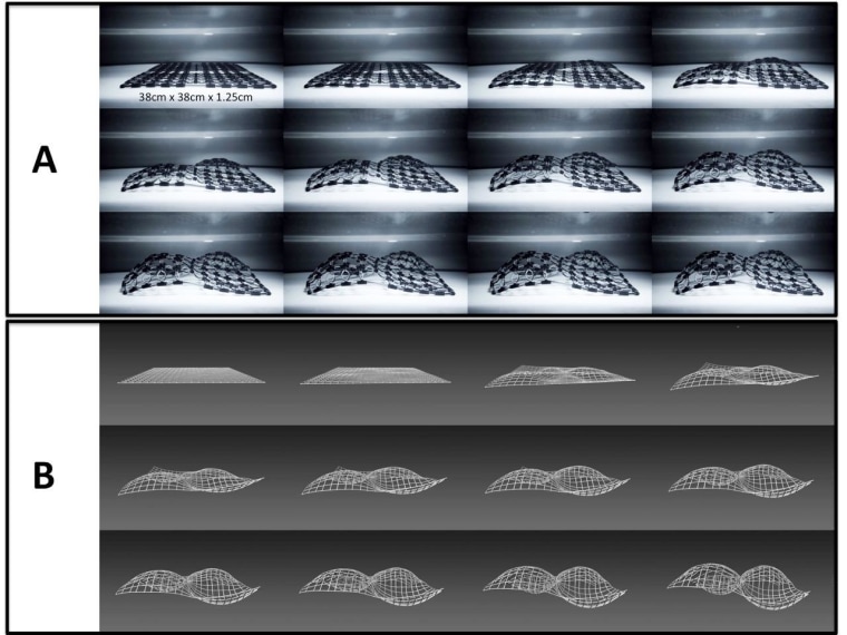 Image: Grid made by 4-D printing