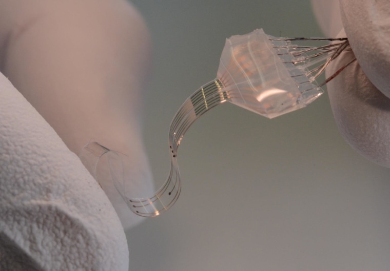 A researcher holds the flexible "e-dura" implant.