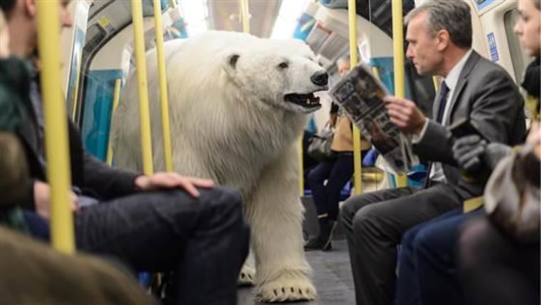 Watch this lifelike polar bear roam through London