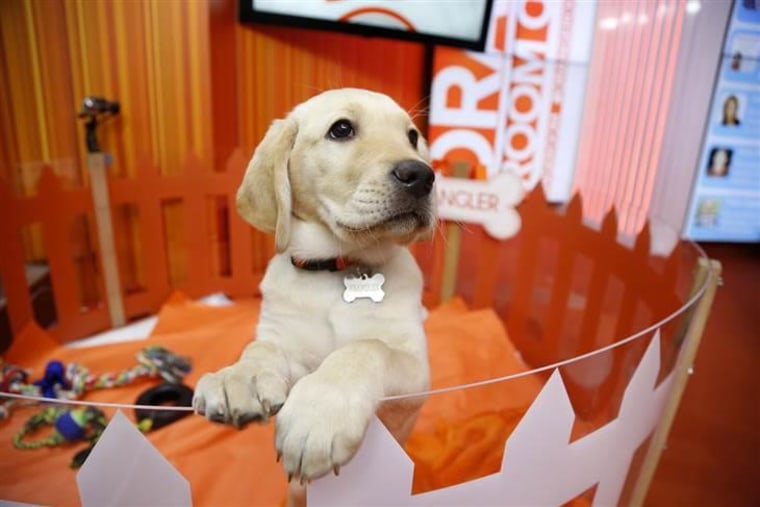 Checking out the scene from the Orange Room.