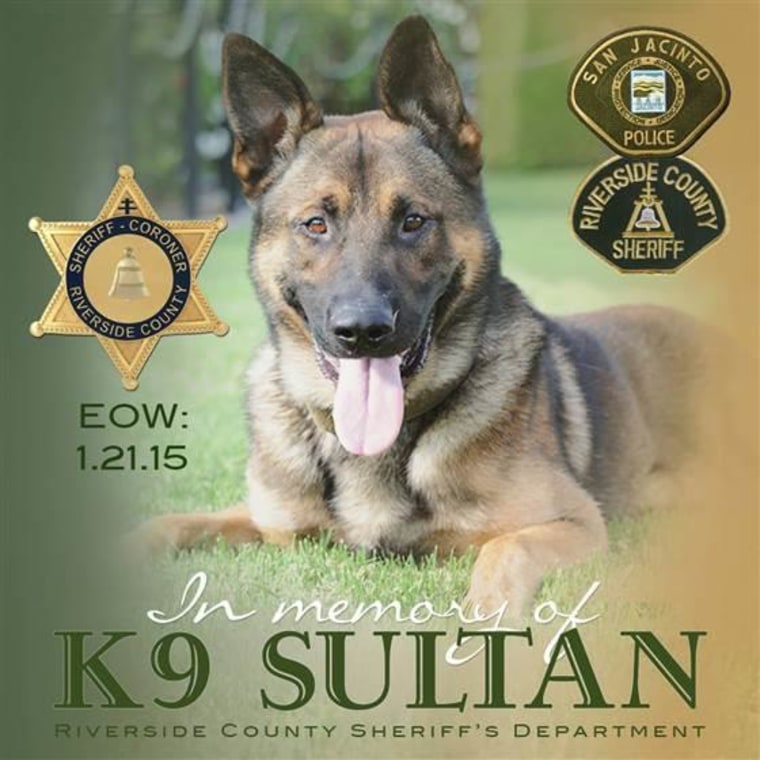 More than a thousand people mourned the loss of police dog Sultan on Wednesday after he was killed in the line of duty in California on Jan. 21.