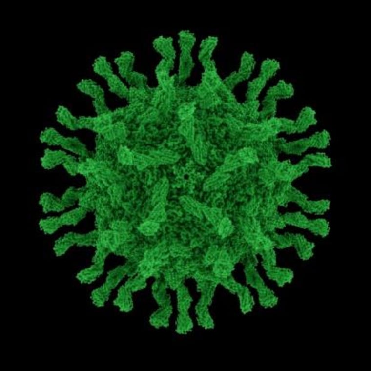 Poliovirus particle. A new study finds polio and related viruses travel in clusters