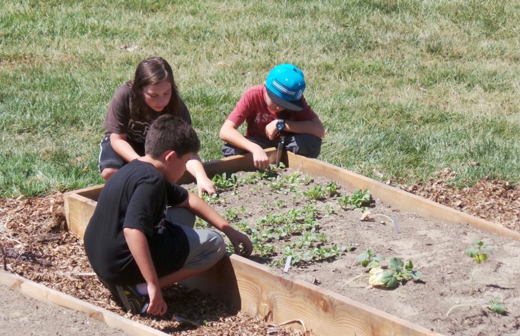 Students at MUSE school grow their own vegetables.