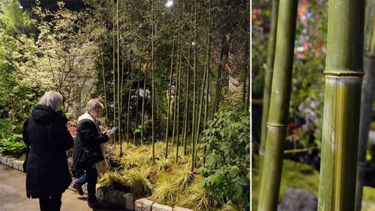 The movie "Into the Woods" inspired this bamboo landscape from Michael Petrie's Handmade Gardens.