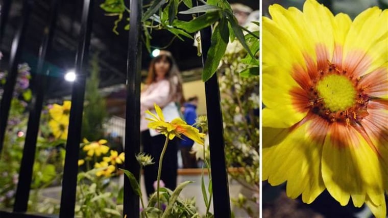 The exhibit titled, "A Walk to Remember" was designed by the Horticulture Academy at Abraham Lincoln High School to help a person with Alzheimer’s feel tranquility.