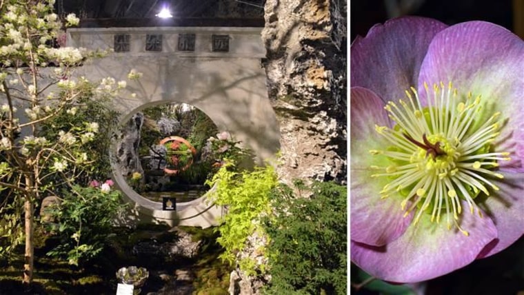 A hellebore flower accents the "Chinese Blossoms" display by Stoney Bank Nurseries that was inspired by the movie "Mulan."