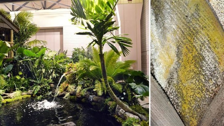 A detail of palm tree bark is seen at The Men's Garden Club of Philadelphia's display, which is based on the movie "Tarzan" and includes a waterfall, pond and tropical plants.