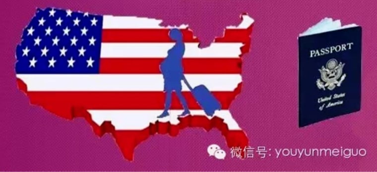 IMAGE: Website allegedly used to recruit Chinese women to come to the U.S. to have their babies