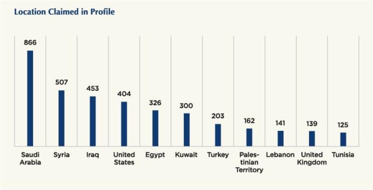 ISIS Twitter Accounts by Country