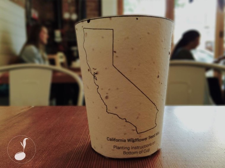 Plantable coffee cup from Reduce. Reuse. Grow.