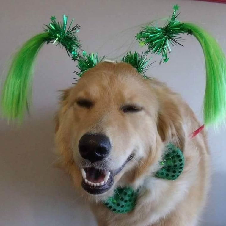 Happy Saint Patrick's Day from Wrigley.