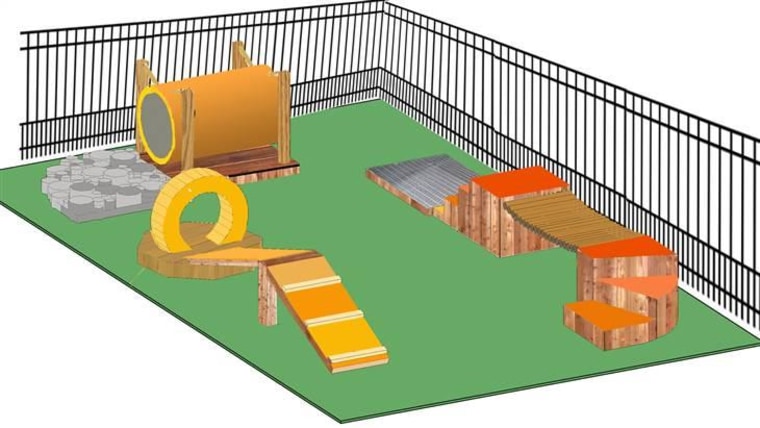 Backyard Fun: How to Create Your Own Dog Agility Course