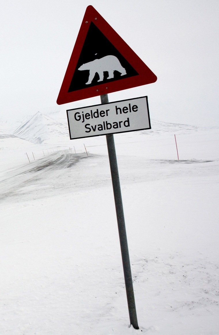 Image: File picture taken on February 25, 2008 showing a polar bear sign outside the arctic town of Longyearbyen, in Norway