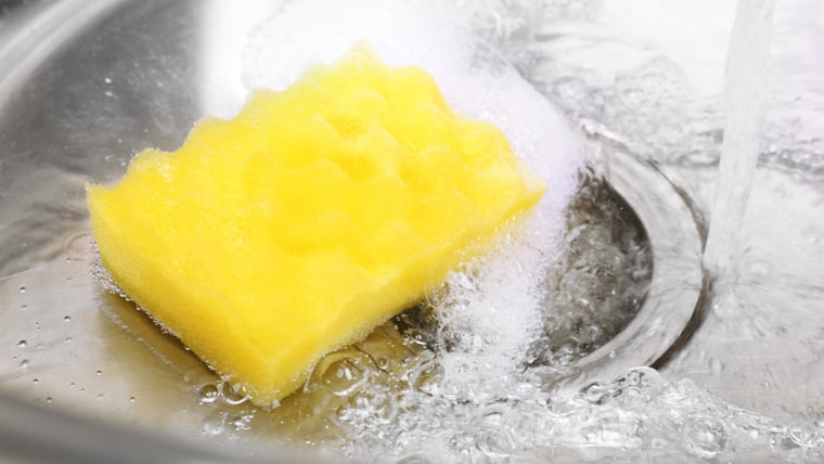 How to clean a sponge and how often to replace it