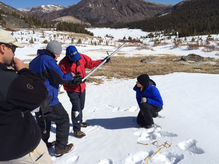 Image: Measuring snow density