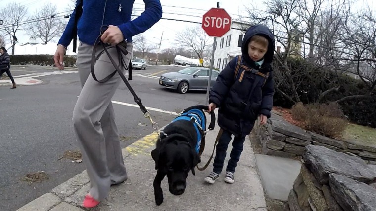 How a guide dog built confidence in a boy with autism