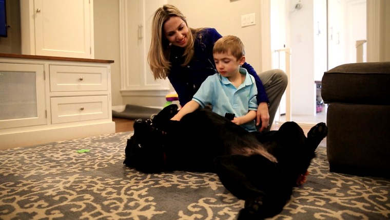 How a guide dog built confidence in a boy with autism.