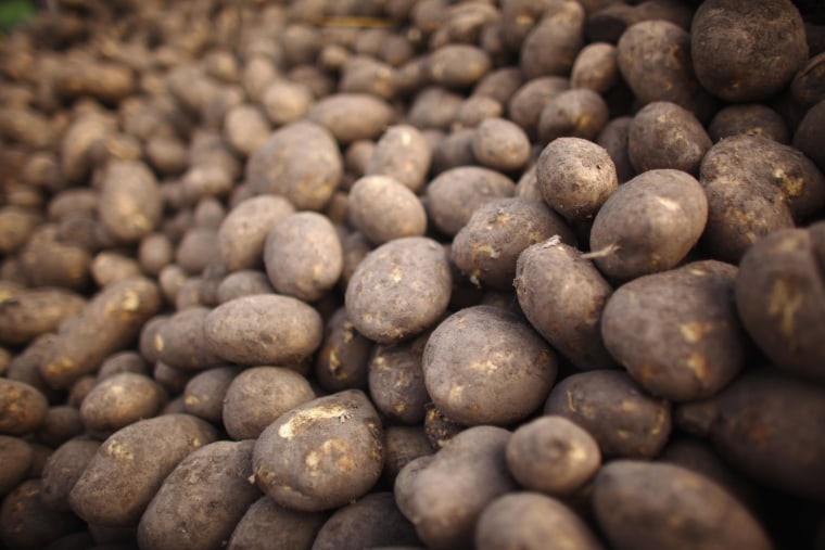 Image:  Potatoes wait to be bagged at a farm