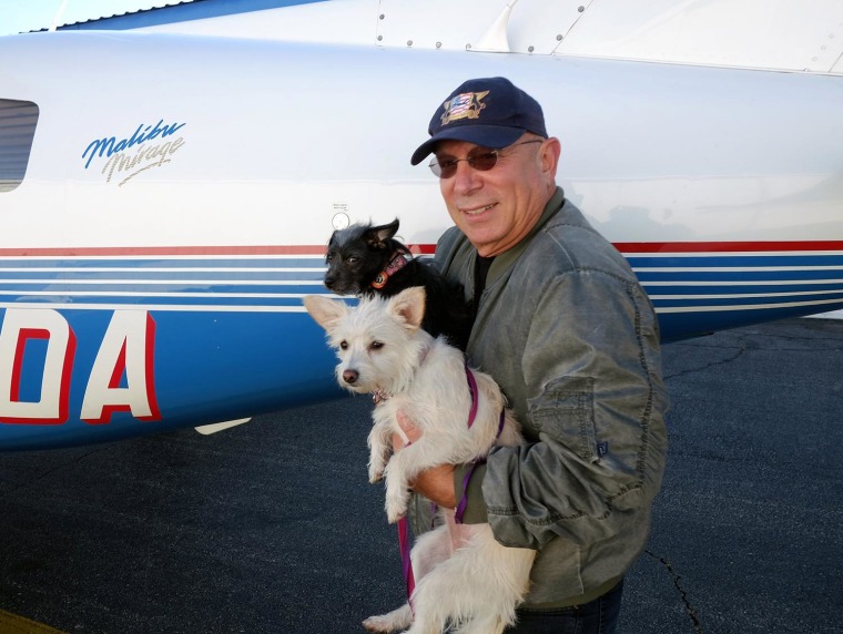 Wings of Rescue pilots and dogs