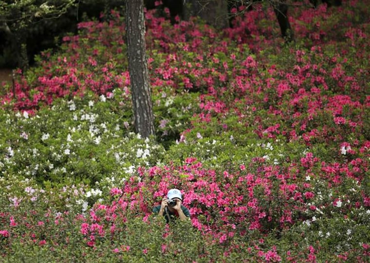 A spectator takes photos in the azaleas off the 10th fairway during a practice round for the Masters golf tournament Monday, April 6, 2015, in Augusta...