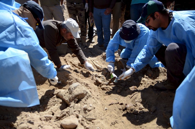 Image: Members of an Iraqi forensic team search in Tikrit