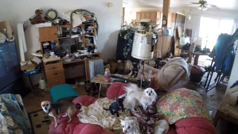 More Than 70 Animals Found in Arizona Mobile Home