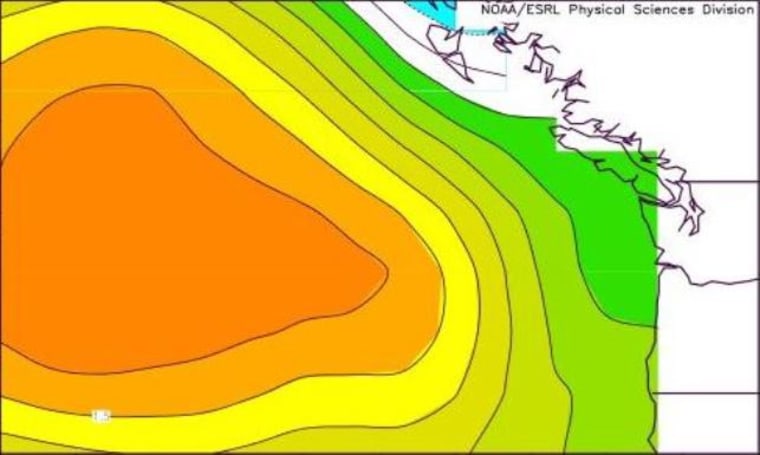 Image: Sea surface temperature anomalies