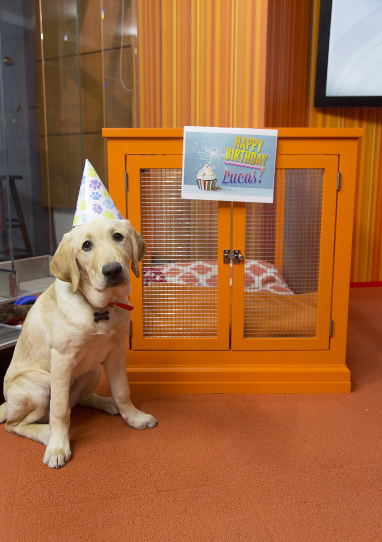 Wrangler celebrates his fans' birthdays in the Orange Room. #MakeYourTODAY