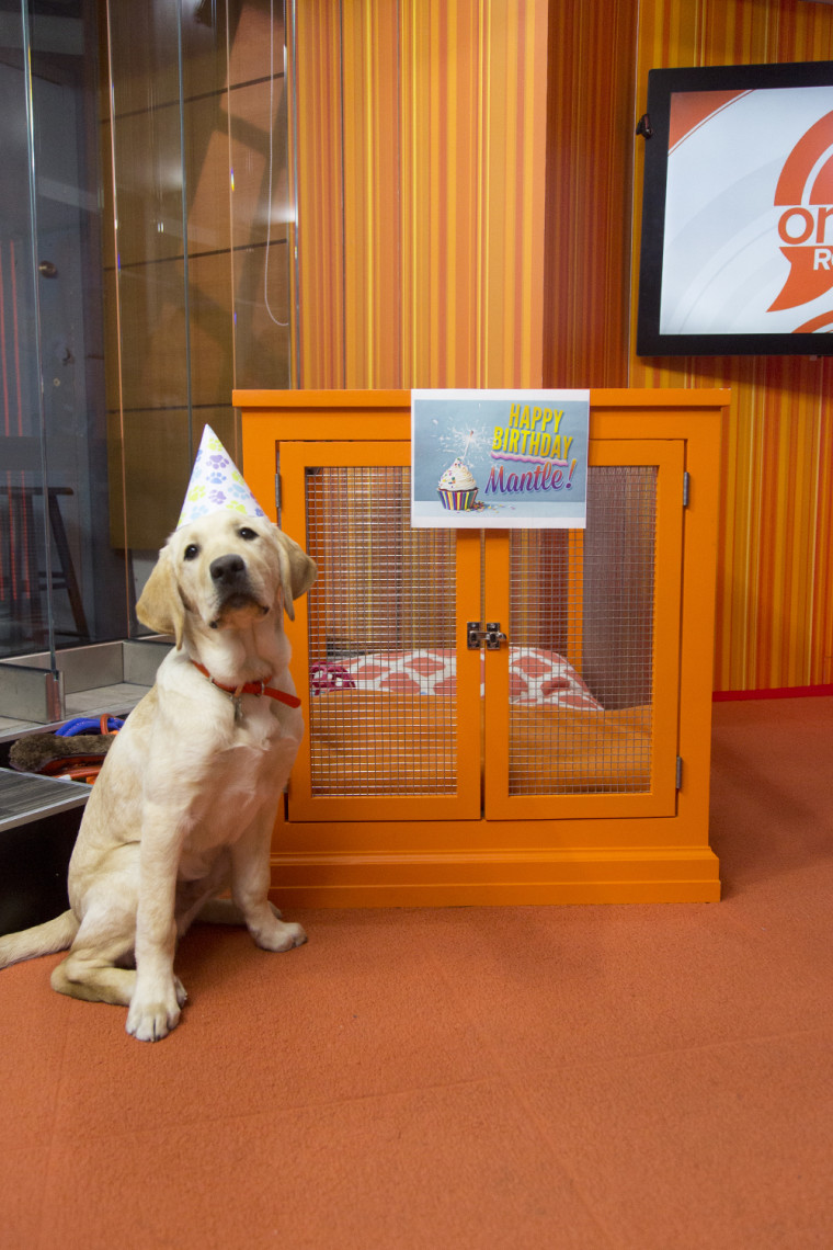 Wrangler celebrates his fans' birthdays in the Orange Room. #MakeYourTODAY