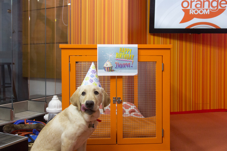 Wrangler celebrates his fans' birthdays in the Orange Room. #MakeYourTODAY