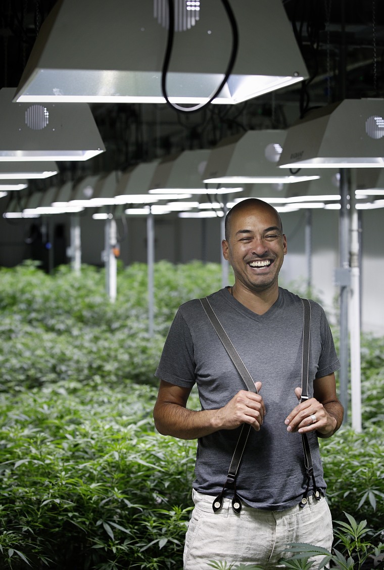 Marijuana: The truth about growing your own pot – The Denver Post