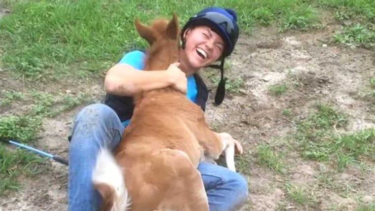 Viral adorable horse video