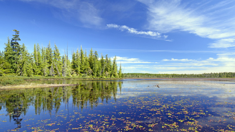 Lake stock photo