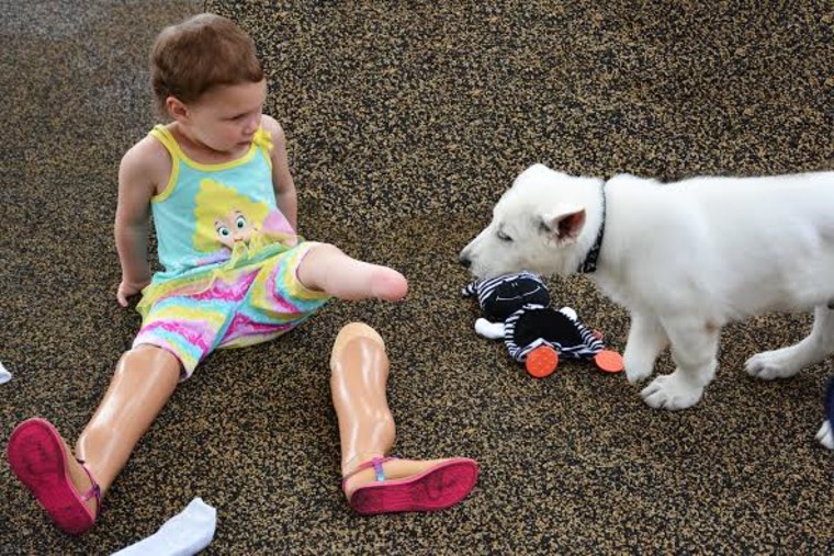 Sapphyre Johnson, 3, and 9-week-old puppy Lt. Dan.