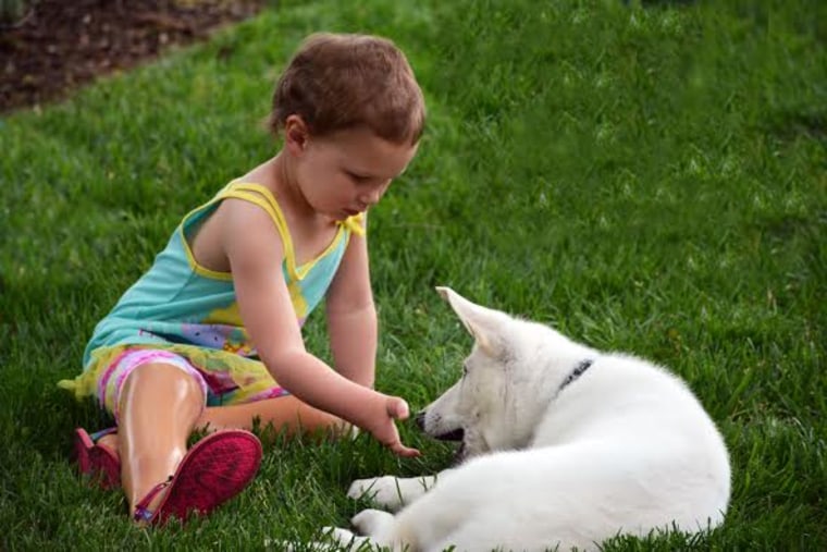 Sapphyre Johnson, 3, and 9-week-old puppy Lt. Dan.