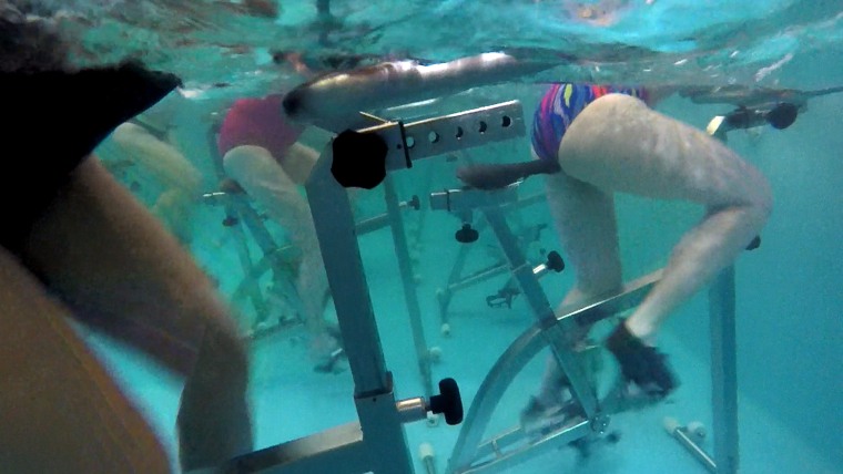 Pool cycling fitness class