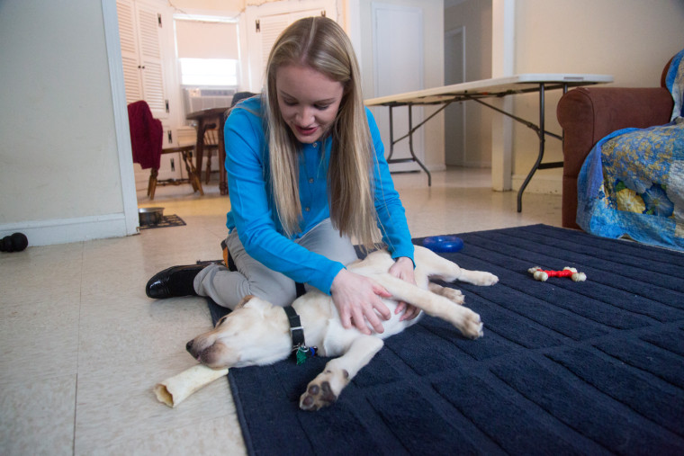 TODAY Show: At Home With Wrangler, TODAY's Puppy with a Purpose. -- February 9, 2015.