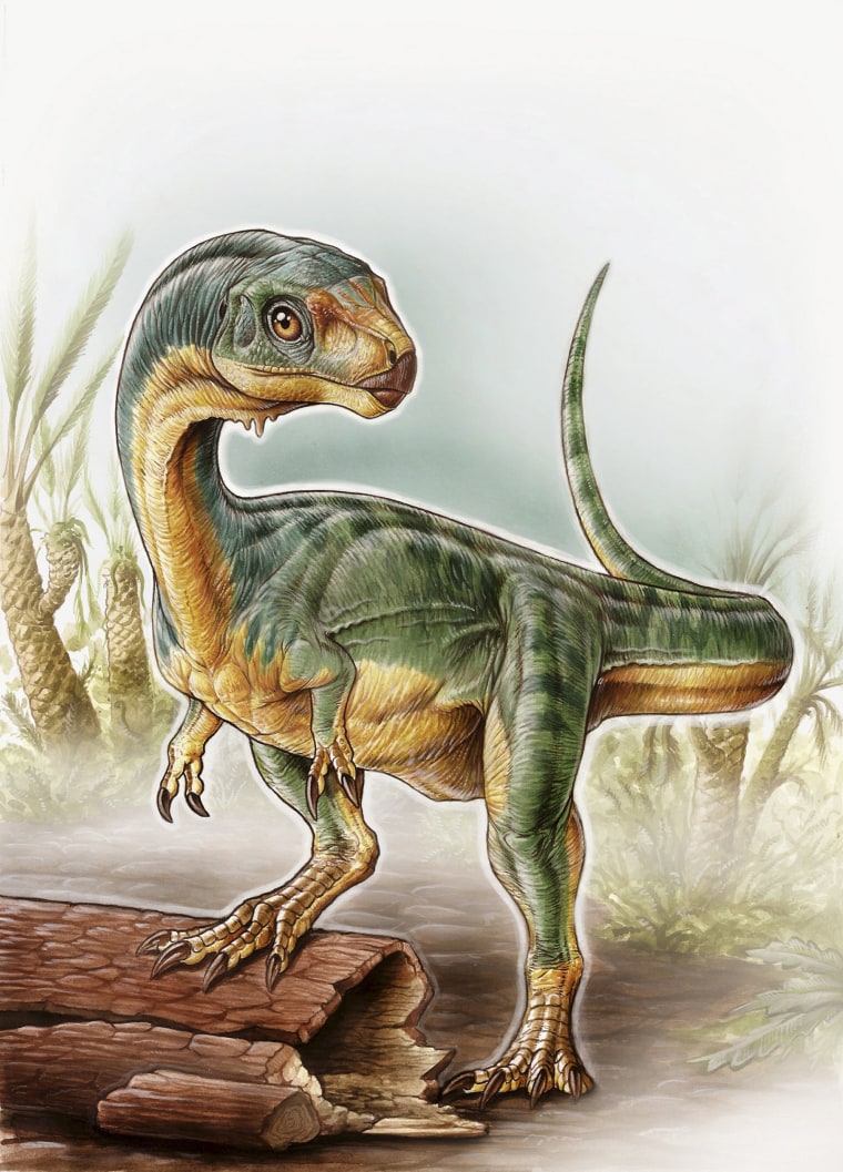 Image: University of Birmingham handout illustration shows an artist's depiction of the Chilesaurus diegosuarezi