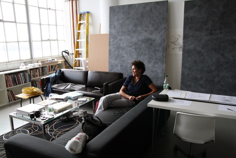 Julie Mehretu