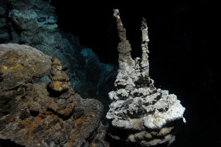 Image: Hydrothermal vent field where new microbe was found