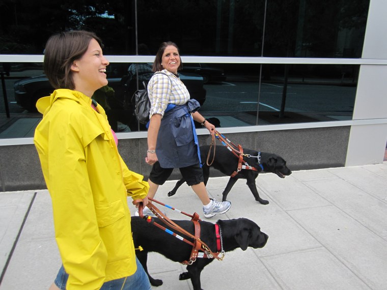 Guide dogs at work