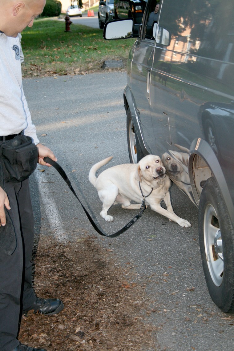 Dog arson investigator