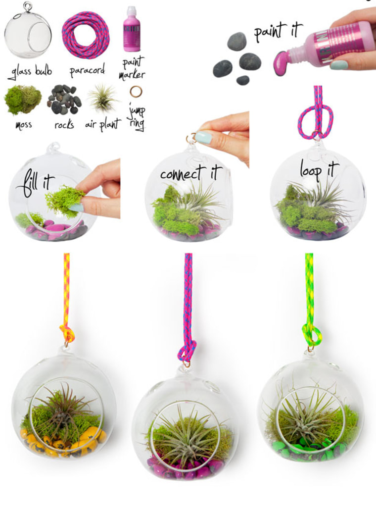 DIY: Make this fabulous (and easy-to-maintain) hanging terrarium