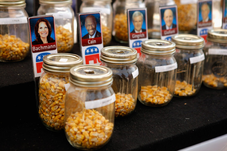 Image: Republican Candidates Campaign At Iowa State Fair